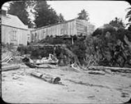 [Vancouver Island, B.C.] [ca. 1910].