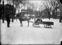 John Northway and Son Ltd., horse-drawn delivery wagon Wilton Ave Feb. 1911