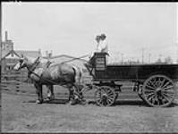 Swift Canadian Co. delivery wagon 1920