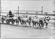 Harris Dairy Wagon, Canadian National Exhibition Grounds ca. 1930