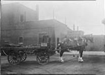 J.A. Harrison Coal Company delivery wagon drawn by Clydesdale "Ben" 28 Aug. 1933