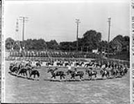 Halifax Bengal Lancers, Bell Park June 1950
