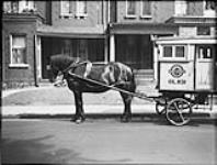 Delivery wagon, Toronto Dairies, Gerrard Street 10 July 1947