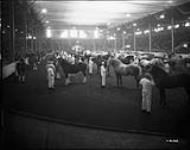 [Horse Show. Canadian National Exhibition, Toronto, Ont.] Interior of the Coliseum Sept. 1934