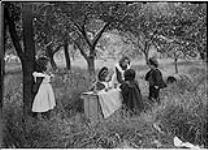 Children playing at garden grocery, 1902 1902.