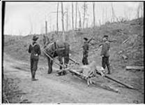 [Travois] transportation, carrying deer, Vermilion River, [Ont.], 1903 1903