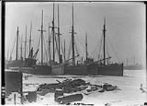 Vessels wintering in Sarnia Bay, [Ont.], 1 Feb., 1909 1 Feb. 1909