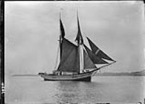 Schooner in full sail, broadside, Sept., 1909 Sept. 1909