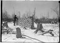 Piles of short stove firewood 6 Mar., 1911
