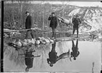 Carrying deer over creek Ahmic [Harbour, Ont.], 9 Nov., 1912 9 Nov. 1912