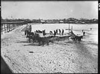 Loading the teams with the ice harvest, Bay Mills 1907