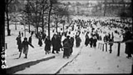 Skating down slides in High Park 18 Jan. 1914