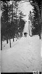 Skiing on a slide 1914
