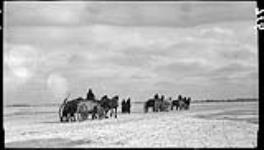 Teams hauling earth to (Toronto) Island in Toronto Bay 21 Feb. 1914