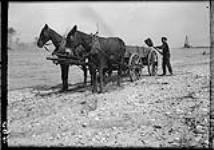 Loading gravel- team at Point Edward 5 Sept. 1912