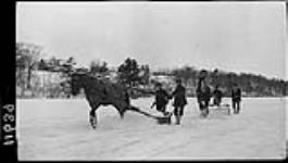 Men and horses cleaning off pond, in High Park 23 Jan. 1915