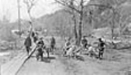 Dog carts with dinner cans coming down a road 8 Apr. 1915
