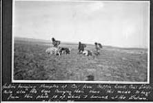 Natives bringing samples of coal from Baffin Land Coal fields, with the dogs carrying their share 20 July 1911