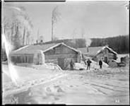 A logging camp 1917