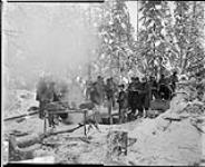 A logging camp 1917