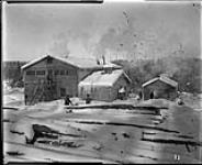 Logging camp 1917