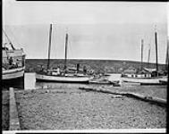 Herschel Island Harbour, [Y.T.] 1930