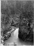 Illecilliwaet Canyon near Revelstoke 1886