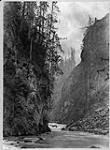 Albert Canyon, [B.C.] 1886