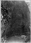 Head of Albert Canyon 1886