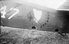Insignia on side of Curtiss Hawk 6 Oct. 1929