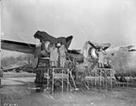 Groundcrew servicing Consolidated Liberator VI T aircraft 570 of No. 168 (HT) Squadron, RCAF November 21, 1944.