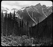Mt. Hermit, Selkirks, B.C [1880-1900]