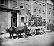 An ox team load of York Pioneers 1879