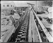 [Lumber yard, Vancouver, B.C.] [c. 1910]