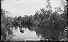 A couple boating on Shadow River, Lake Rosseau, Muskoka, Ont., c. 1887 1887