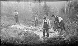 Men fighting bush fire Aug. 1916