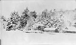 Snow scene at Muskoka, [Ont.] 31 Mar., 1917