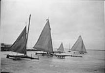 Iceboating, Toronto Bay, [Ont.], 3 March, 1917 3 Mar. 1917