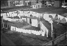 Clothes in yards on washday 17 Apr., 1918