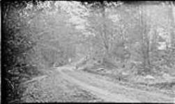 Road scene, Bala, [Ont.] 26 May, 1918