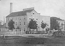 [Van Egmonds Woolen Mills, - first mills, Seaforth, Ont.] n.d.