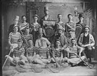 [Seaforth Lacrosse Team, 1887, Seaforth, Ont.] 1887