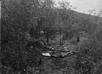 [Camping scene near Moose Jaw, Sask., c. 1909] [ca. 1909]