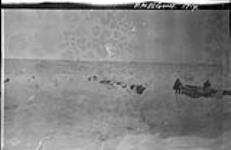 B.M. McConnell sledge party, [Alaska], 1914 1913 - 1914