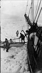 Taking skin boat aboard [The H.M.C.S. Karluk] at Pt. Barrow, Alaska, August 1913 1913 - 1914