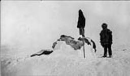 The snowhouse on Wrangell Island, [Alaska] where Williamson, Breddy and Maurer were living. Breddy is standing beside the cleerskins, which are drying on top of the house 1913 - 1914