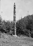 Native totem poles in Alder Park 1945