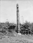 Native totem poles in Alder Park 1945