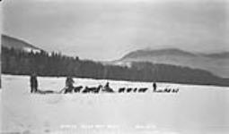 Skeena River Mail Teams, [B.C.] Jan. 1912 Jan. 1912
