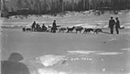 Dog team, Hazelton, B.C., 1907-1912 1907-1912